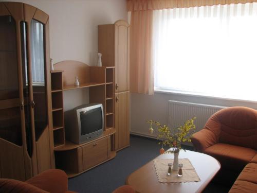 Apartmenthotel-Harz Фрідріхсбрунн Екстер'єр фото