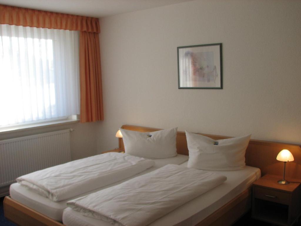Apartmenthotel-Harz Фрідріхсбрунн Екстер'єр фото